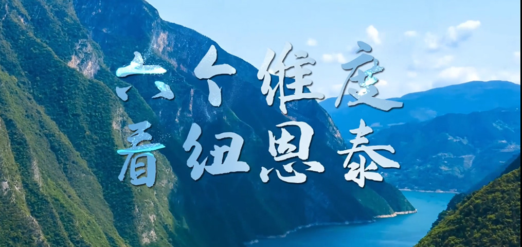 六个维度看龙八国际